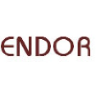 Endor Iceland logo