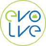 Evolve Consulting LLC logo