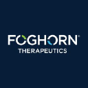 Foghorn Therapeutics Inc Logo