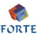 Forte IT Solutions logo