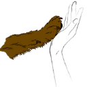 Opportunity image