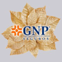 GNP Seguros