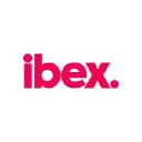 IBEX Ltd Logo