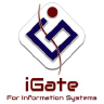 IGate information systems logo