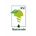 KV NATURAL INGREDIENTS PVT LTD