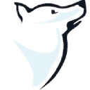LinSon logo