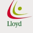 Lloyd Healthcare Pvt - India
