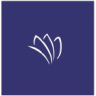 Lotus Beta Analytics logo
