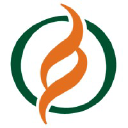 Job