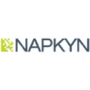 Napkyn logo