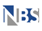 Nbs Informatica logo