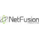 Netfusion Consulting logo