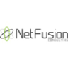 Netfusion Consulting logo