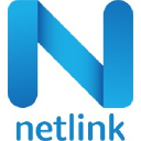 Netlink logo