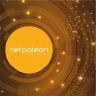 Netpoleon Solutions logo