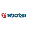 Netscribes logo