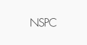 Nippon SP Center Co. logo