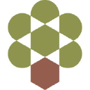 Olive Tree Capital venture capital firm logo