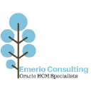 Emerio Consulting logo