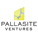 Pallasite Ventures investor & venture capital firm logo