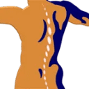 Www.paradigmchiropracticdc