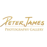 Peter James Web Design Studio logo