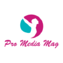 www.pmlngroup.com/ logo