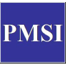 PM Solutions International logo