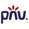 PNV Group logo