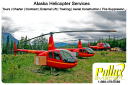 Aviation job opportunities with Pollux Aviation