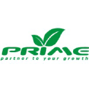 Prime Infoserv LLP