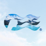 Princess Cruises logo