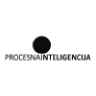 Procesna inteligencija Ltd. logo