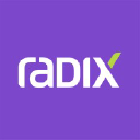 Radix Engineering and Software logo