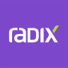 Radix Engineering and Software logo