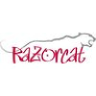 Razorcat Development GmbH logo