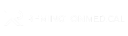 Remington Medical