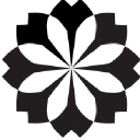 Sakura Sky Media