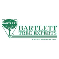 Aviation job opportunities with S B Tree Experts