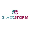SilverStorm Solutions logo