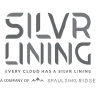 Silvr Lining Group logo