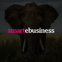 Smartebusiness logo