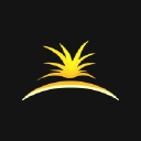 Sparked logo