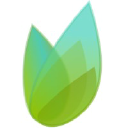 SpringTime Ventures venture capital firm logo