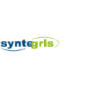 syntegris information solutions logo