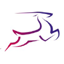 Syntegro logo
