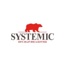 SYSTEMIC logo