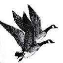Aviation job opportunities with Take Flight Goose