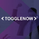ToggleNow Software Solutions logo