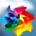 Waylink International Pvt Ltd